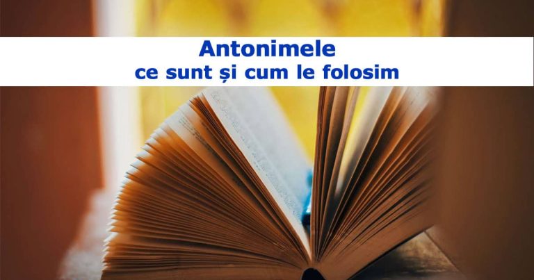 Antonimele: ce sunt și cum le folosim