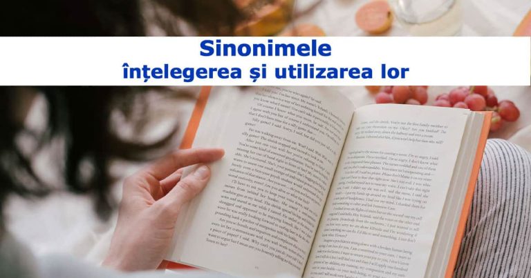 Sinonimele: înțelegerea și utilizarea lor