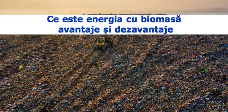 Ce este energia cu biomasă - avantaje și dezavantaje
